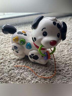 VTech Pull & Sing Puppy Interactive Learning Toy Musical Dog